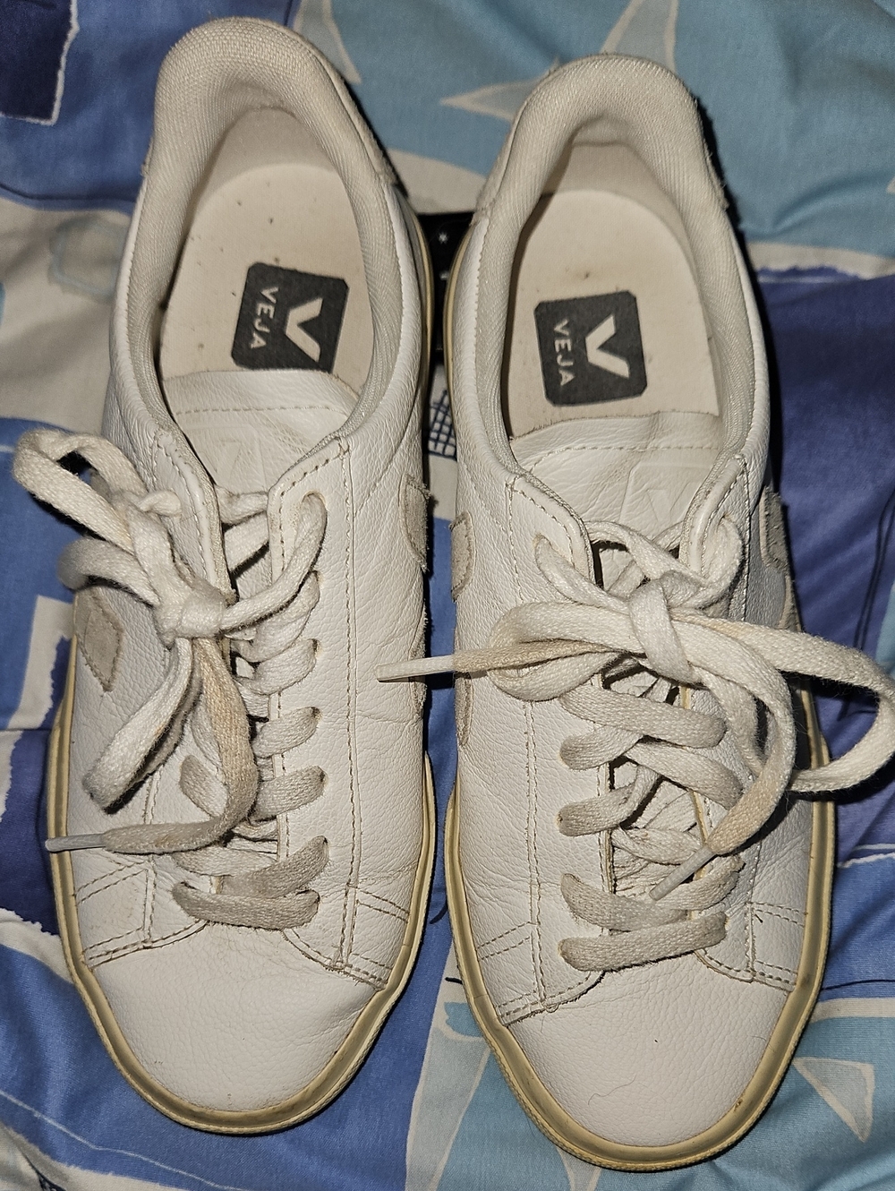 Veja White Leather Sneakers with Cream Trim